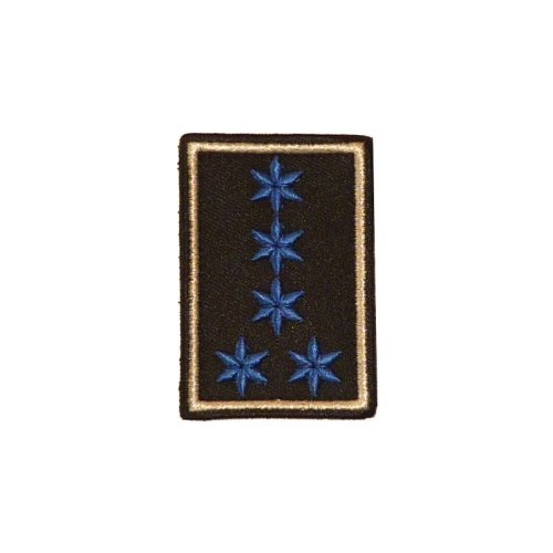 Dienststellungsabzeichen 5 Sterne blau + Paspel silber
