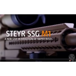 STEYR SSG M1