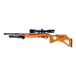 Ruger Halbautomatische Büchse 10/22 Power .22lr mit...